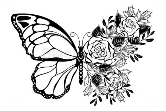 Download Flower Butterfly with Rose - Butterfly Collection