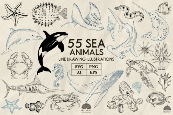 Download Sea Animals Line Art Collection Svg Png - Collection Collection